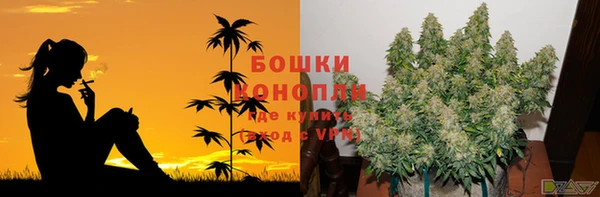 сатива Михайловск