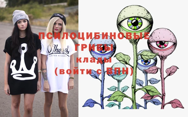 крисы Усолье-Сибирское