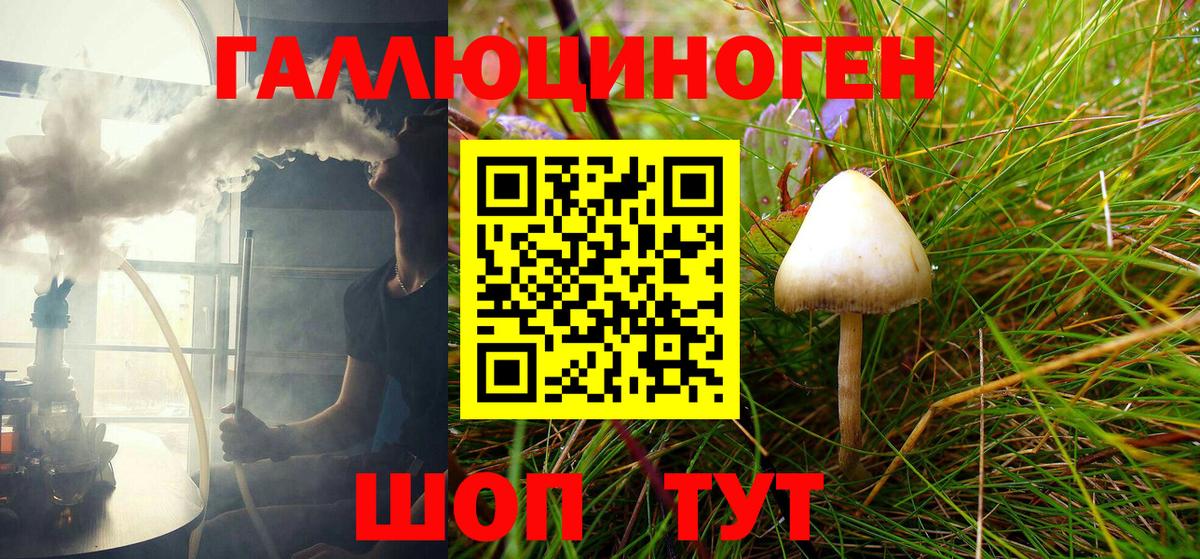 Псилоцибиновые грибы Psilocybe Удомля