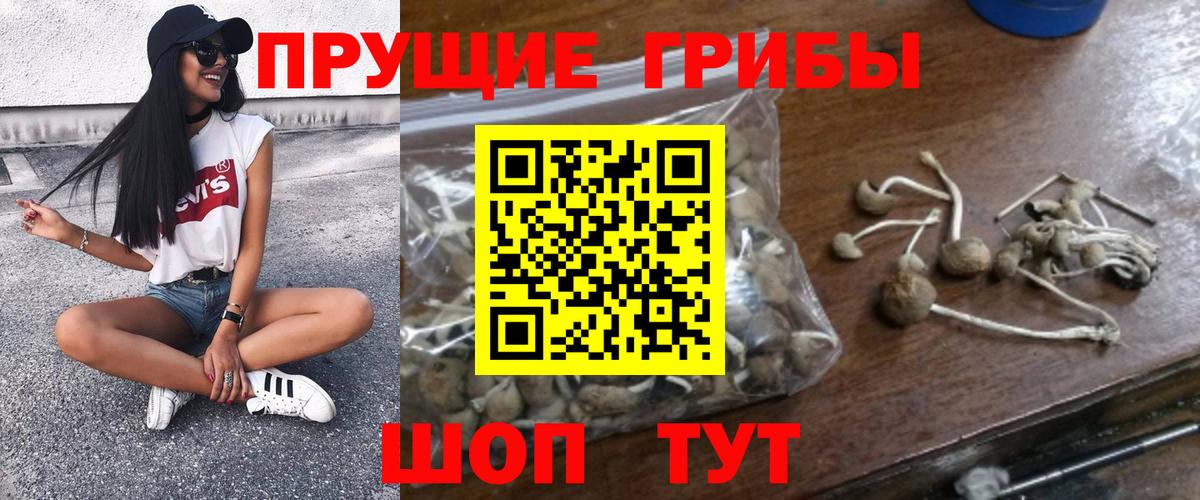 Гашиш Удомля